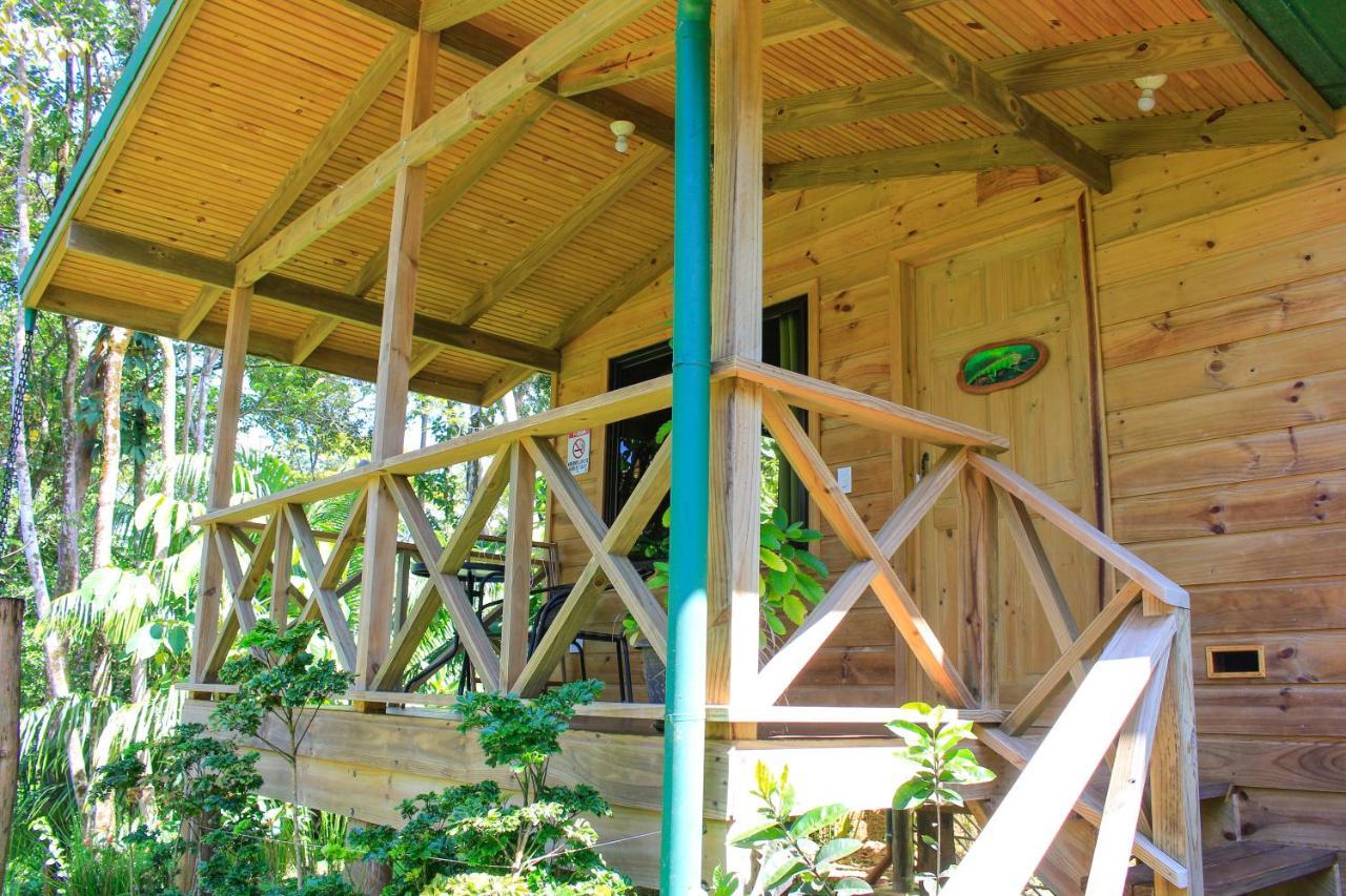 Forest Lodge Uvita Exteriör bild