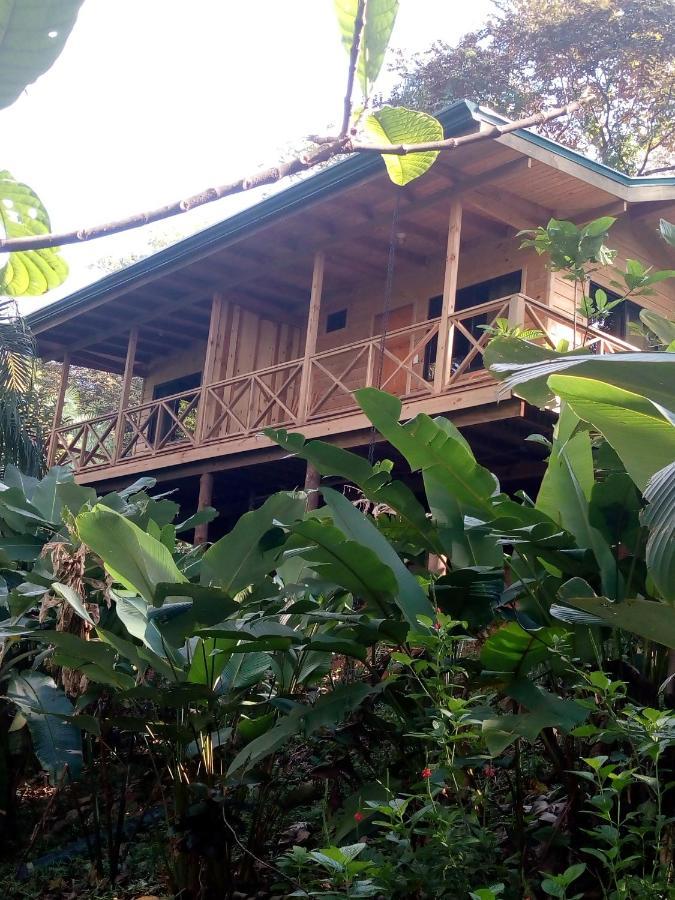 Forest Lodge Uvita Exteriör bild
