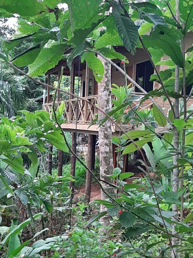 Forest Lodge Uvita Exteriör bild
