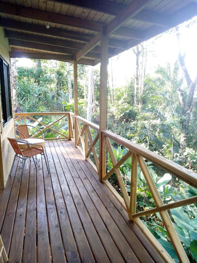 Forest Lodge Uvita Exteriör bild