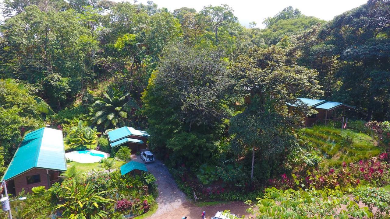 Forest Lodge Uvita Exteriör bild